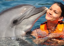 Swim with Dolphins in Turunc