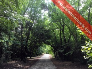 Entrance Path of the Marmaris National Park