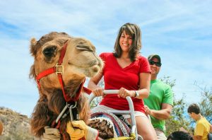 cappadocia camel ride